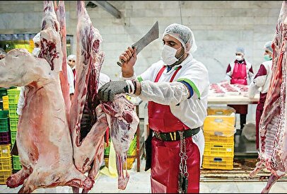 افزایش عرضه گوشت تنظیم بازار در فروشگاههای زنجیره