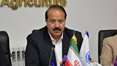 بخش خصوصی برای حفظ پایداری اقتصاد، در میدان حضور دارد/ ضرورت حمایت از واحدهای تولیدی