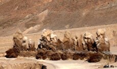 آغاز مطالعات اولیه اکتشاف عمیق در دو معدن سنگ آهن