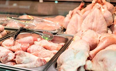 توزیع گوشت و مرغ دولتی در ۳ شهر/ گوشت ارزان از کجا بخریم؟
