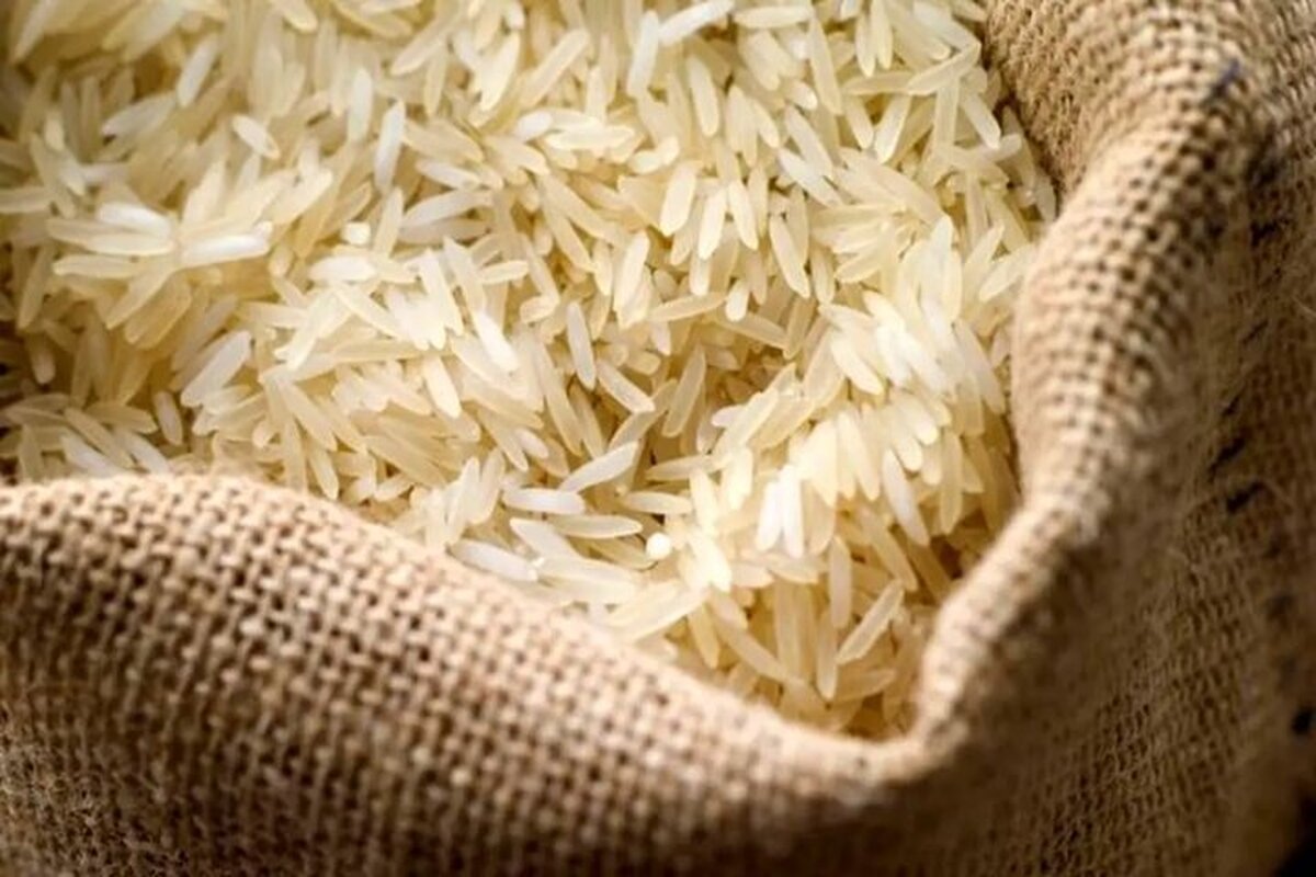 تفاوت ۳۰ درصدی قیمت برنج در میادین نسبت به بازار تفاوت ۳۰ درصدی قیمت برنج در میادین نسبت به بازار