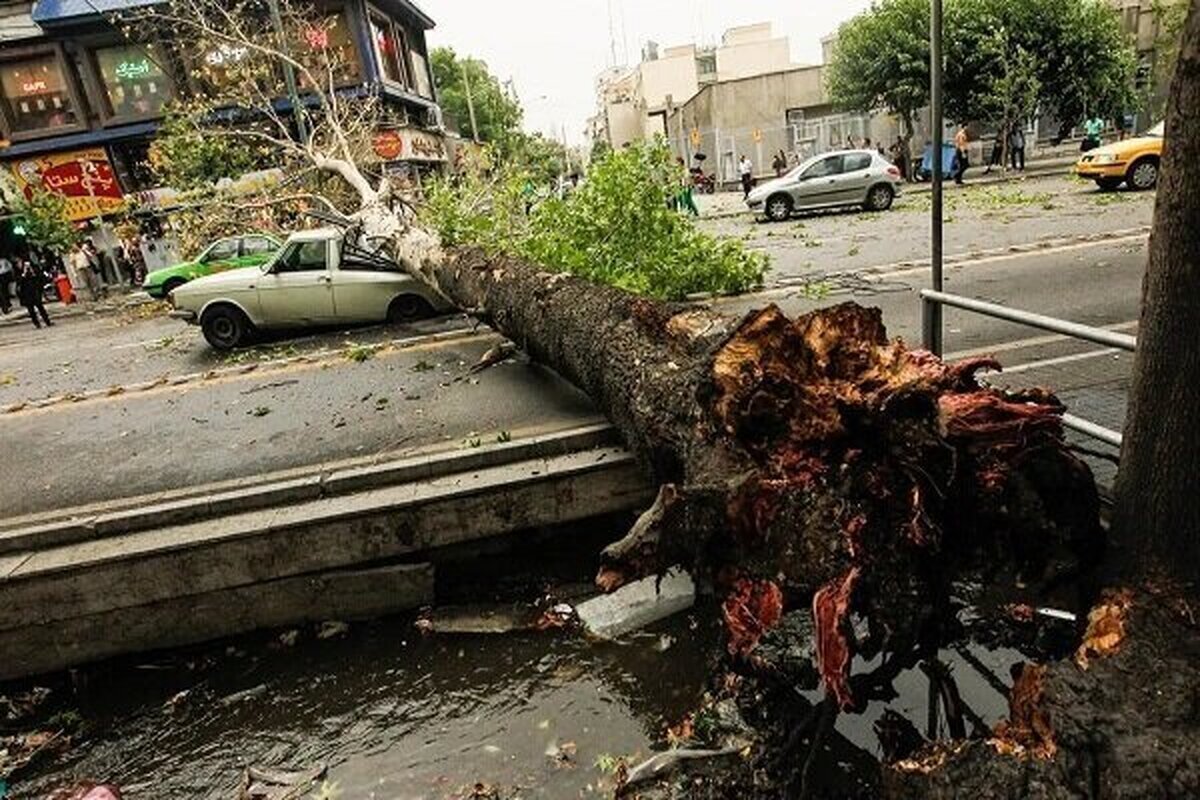 تهران در آستانه طوفان لحظهای؛ بادهای شدید تا ۲۳ متر بر ثانیه تهران در آستانه طوفان لحظهای؛ بادهای شدید تا ۲۳ متر بر ثانیه