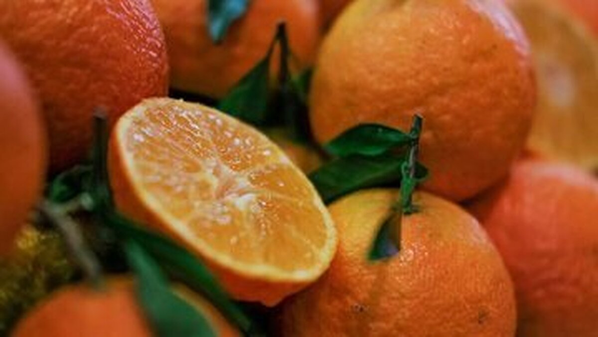 خواص شگفت انگیز نارنج برای سلامتی خواص شگفت انگیز نارنج برای سلامتی