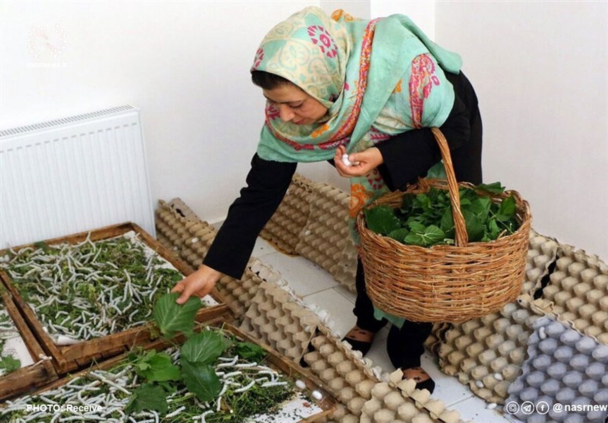 چند درصد از مشاغل خانگی در اختیار زنان است؟ چند درصد از مشاغل خانگی در اختیار زنان است؟