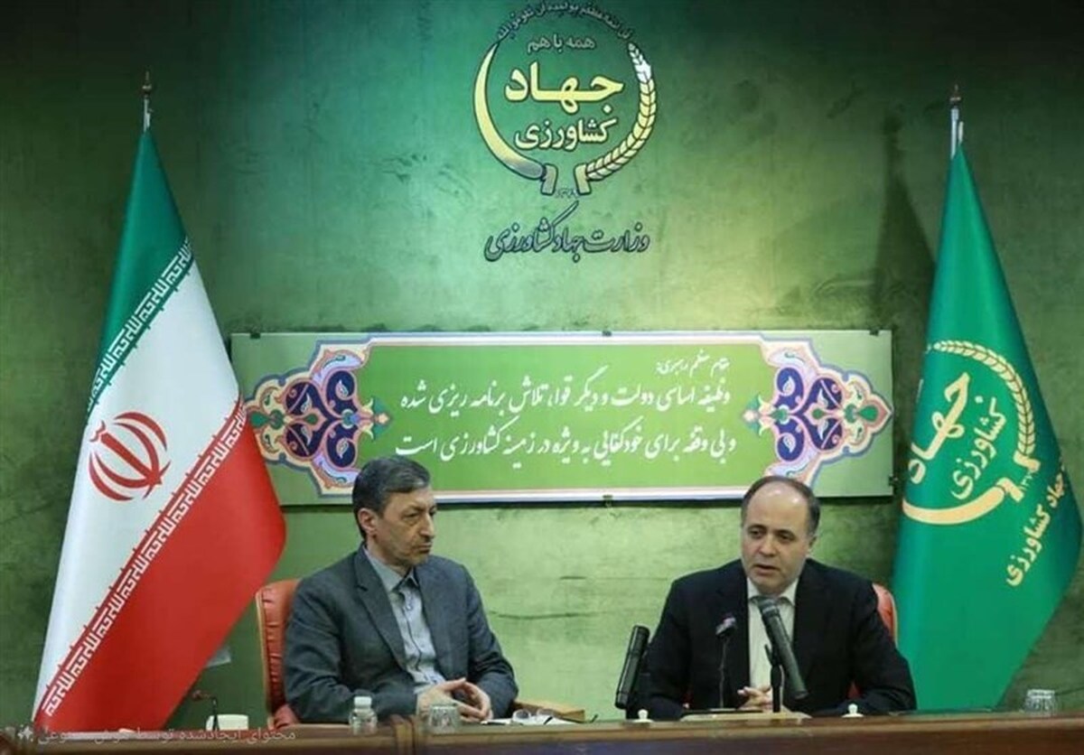 کشاورزان و دامداران بخوانند/ وام ویژه برای جهش تولید گوشت و برنج کشاورزان و دامداران بخوانند/ وام ویژه برای جهش تولید گوشت و برنج
