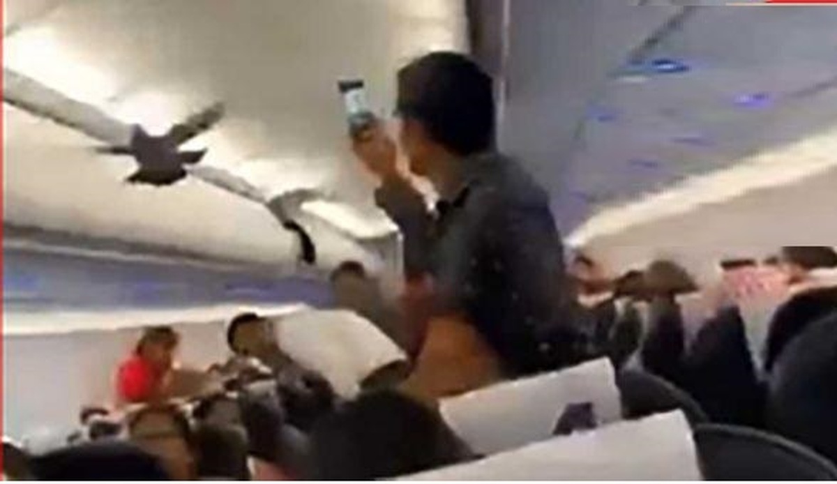 کبوترها پرواز هواپیما را به تاخیر انداختند!+ فیلم کبوترها پرواز هواپیما را به تاخیر انداختند!+ فیلم