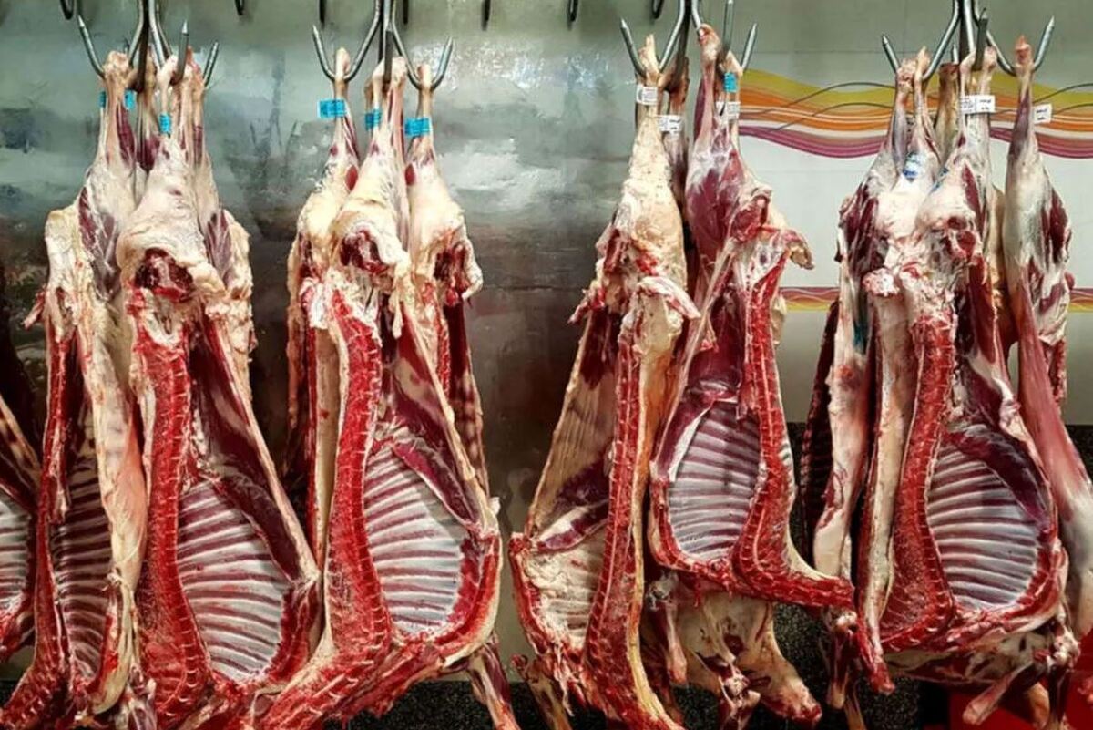 واردات گوشت قرمز متوقف شد؟ واردات گوشت قرمز متوقف شد؟