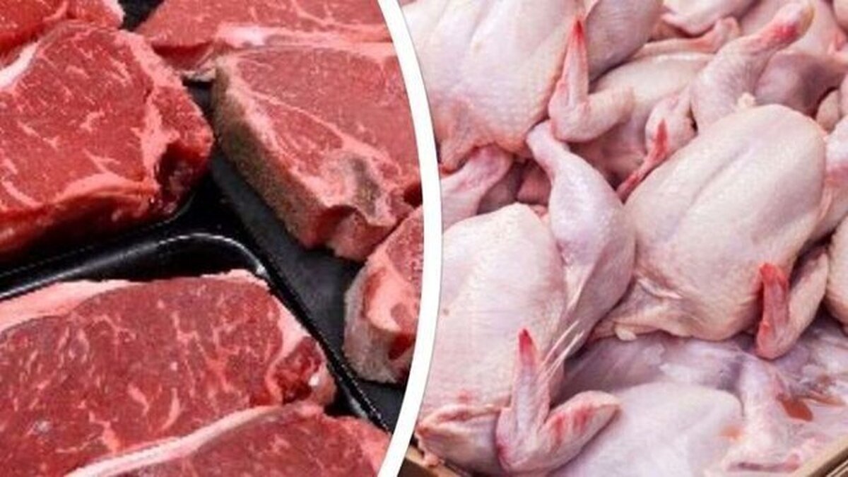 خبر مهم از افزایش چشمگیر عرضه گوشت