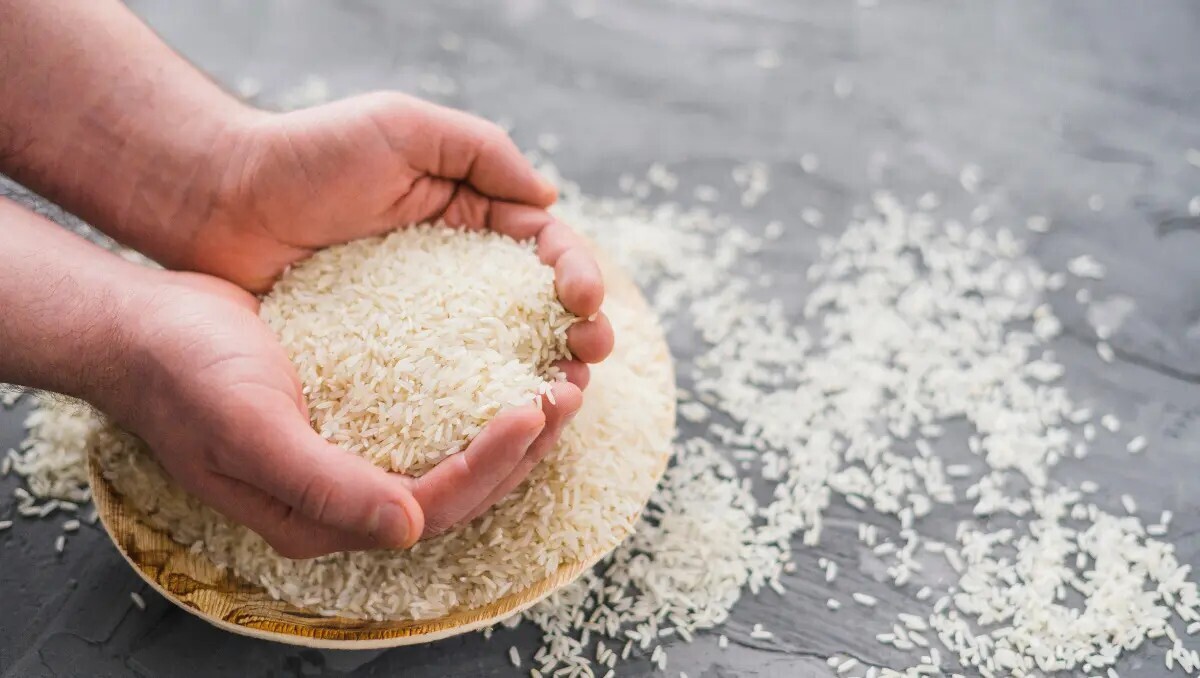 کمبود برنج نداریم/ با گرانفروشان برنج برخورد می شود