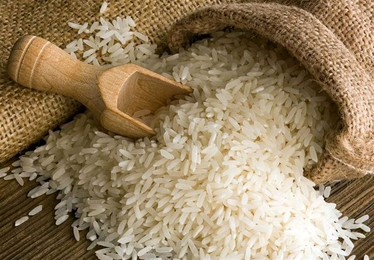 برنج ارزان می‌شود؟ٰ / پیش‌بینی جدید از قیمت برنج