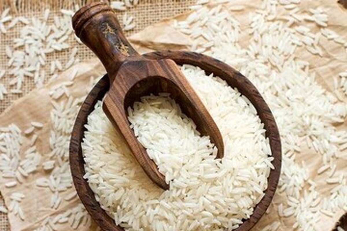 بازار متشنج و بسیار گران برنج در انتظار برداشت فصل برداشت!