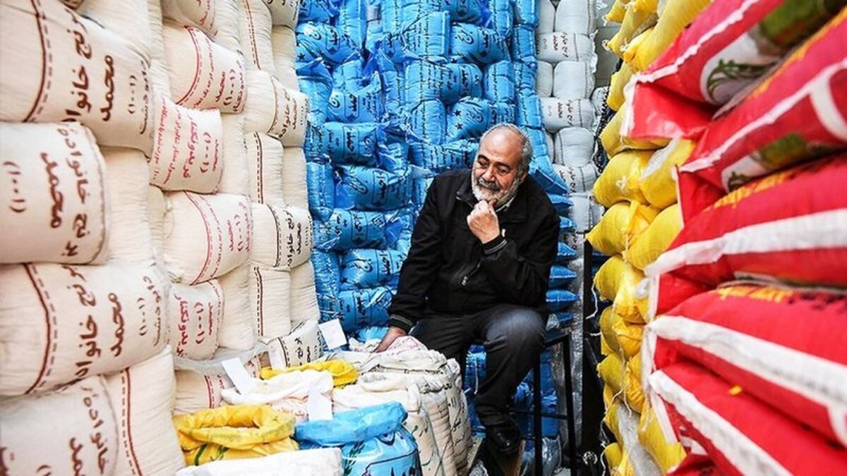 قیمت انواع برنج ایرانی تیر ۱۴۰۴ / قیمت هرکیلو برنج شمال از ۳۴۰ هزارتومان عبور کرد!