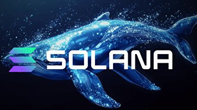 این نهنگ ناشناس قیمت سولانا را کاهش می‌دهد!