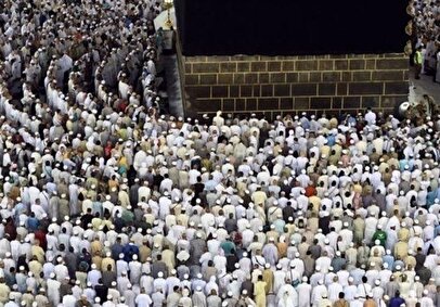 آمار فوتی‌های حج امسال اعلام شد