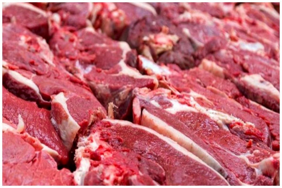 خبر خوش از بازار گوشت/ گوشت ارزان وارد میشود خبر خوش از بازار گوشت/ گوشت ارزان وارد میشود