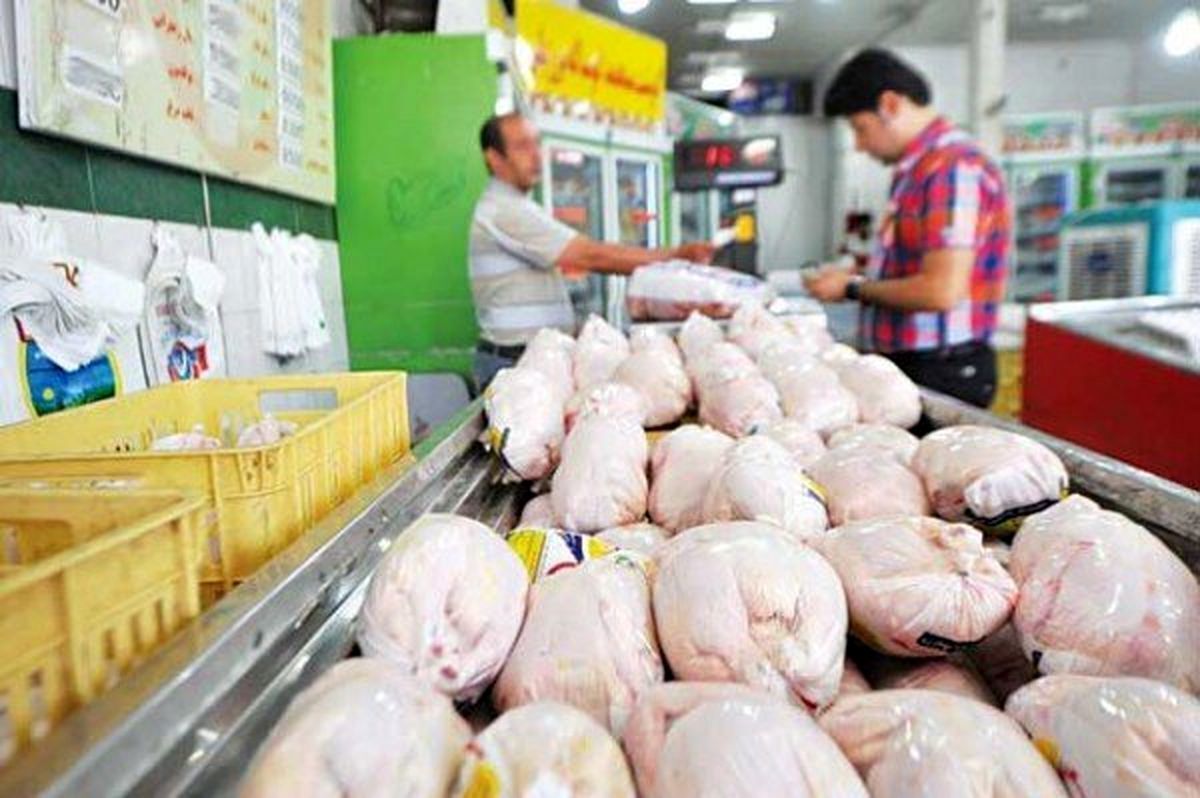 خبر مهم از افزایش قیمت مرغ خبر مهم از افزایش قیمت مرغ