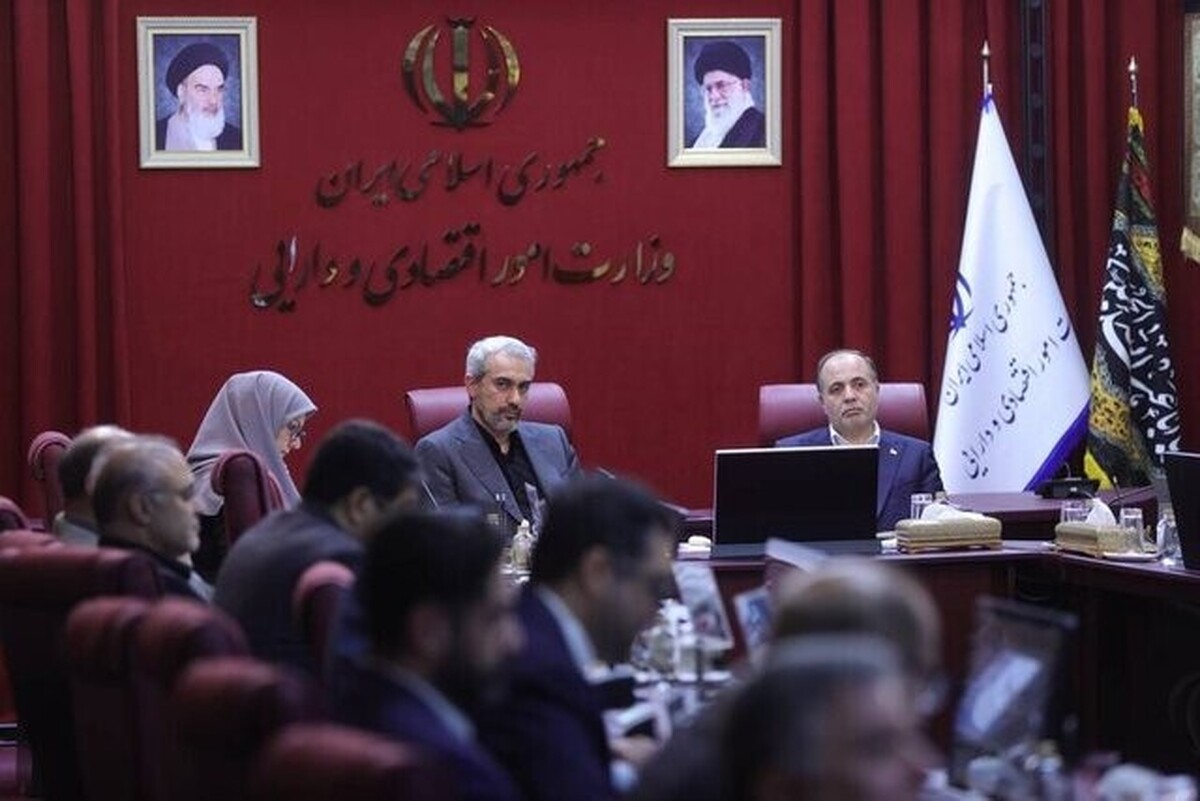 مدنیزاده: اولویت وزارت اقتصاد هوشمندسازی مالیات و گمرک است مدنیزاده: اولویت وزارت اقتصاد هوشمندسازی مالیات و گمرک است