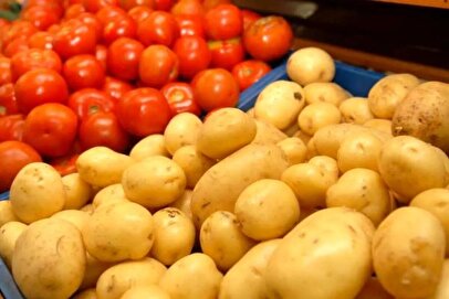 کاهش ۵۰ درصدی قیمت سیب‌زمینی طی چند روز اخیر