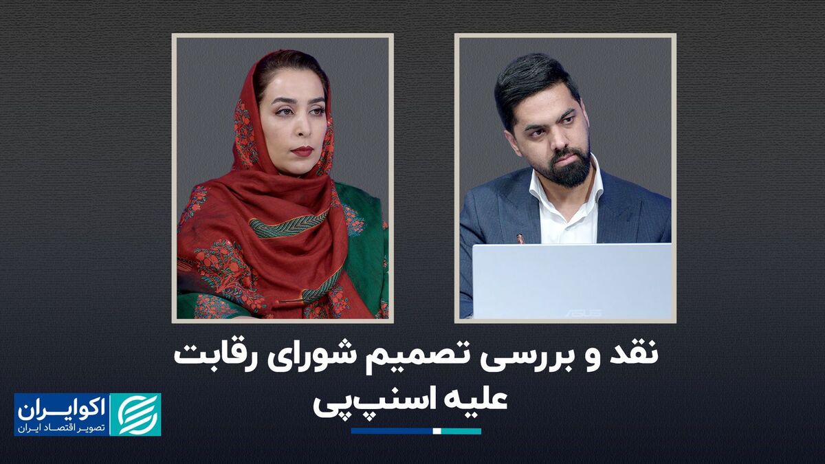 نقد و بررسی تصمیم شورای رقابت علیه اسنپپی نقد و بررسی تصمیم شورای رقابت علیه اسنپپی