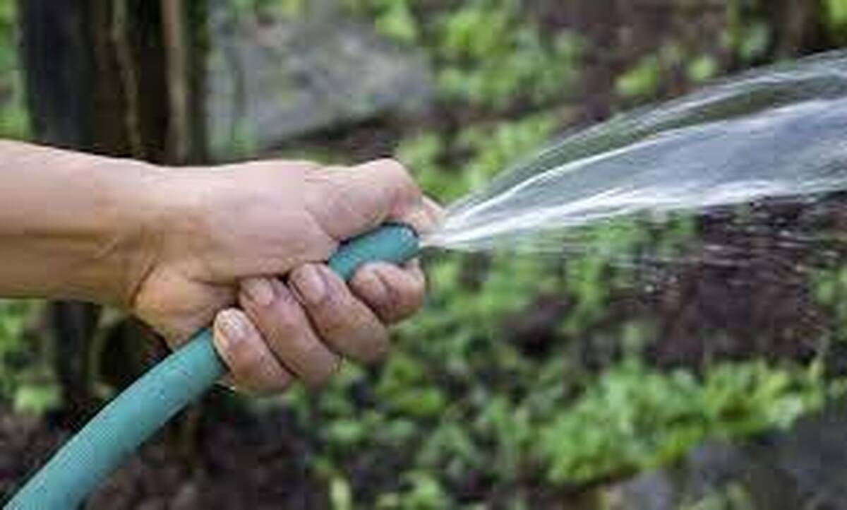 اسراف عمدی آب توسط مرد جوان افغان و توضیحات عجیب او+ فیلم