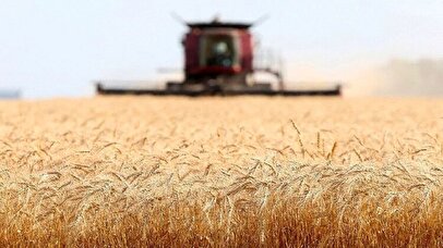 کاهش بار مالی دولت با آزادسازی قیمت آرد و نان