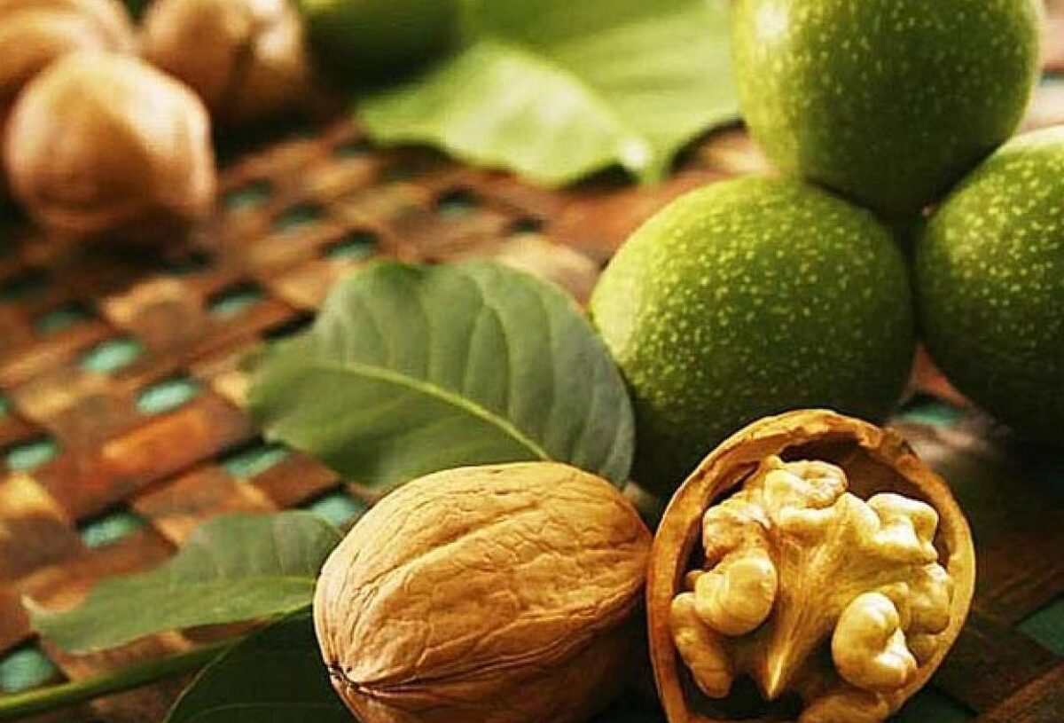 خرید و فروش گردو ممنوع شد