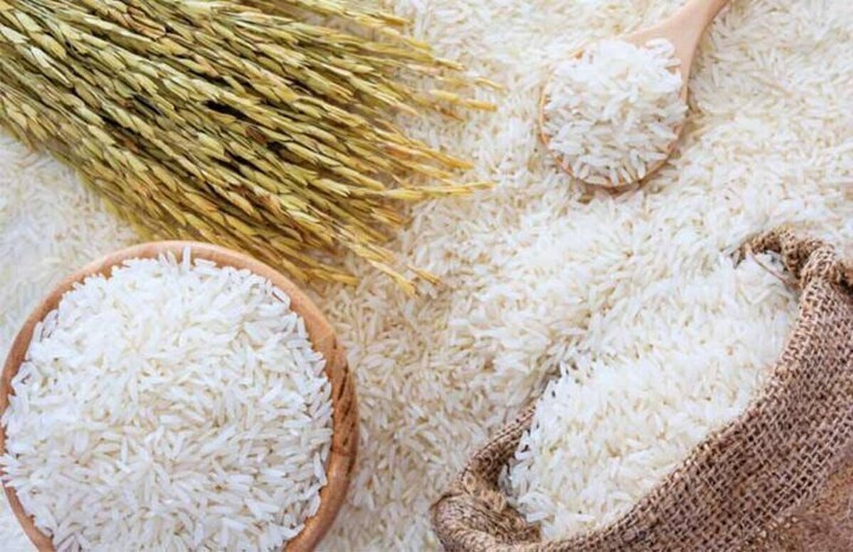 قیمت برنج هندی امروز ۱۹ مرداد ۱۴۰۴ / کیسه ۱۰ کیلویی برنج خاطره چند؟ + جدول قیمت برنج هندی امروز ۱۹ مرداد ۱۴۰۴ / کیسه ۱۰ کیلویی برنج خاطره چند؟ + جدول