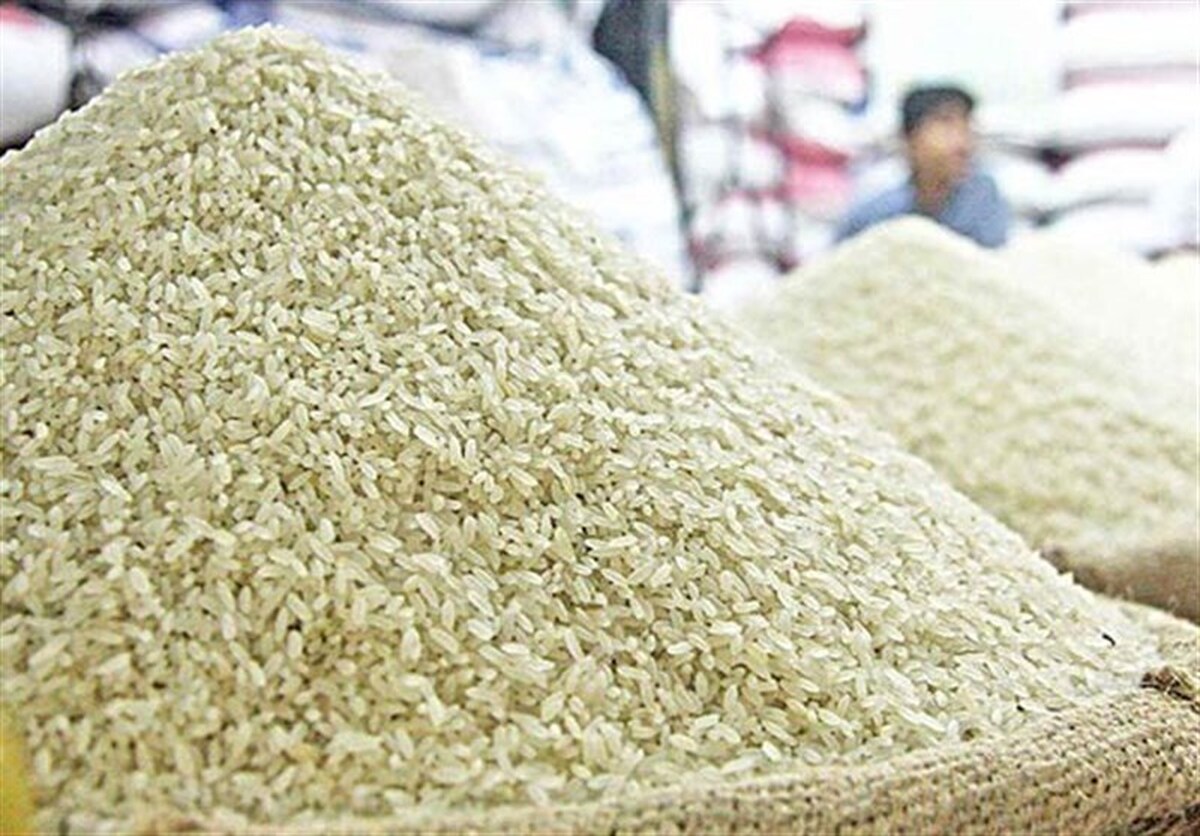 افزایش شدید واردات برنج بخاطر خشکسالی