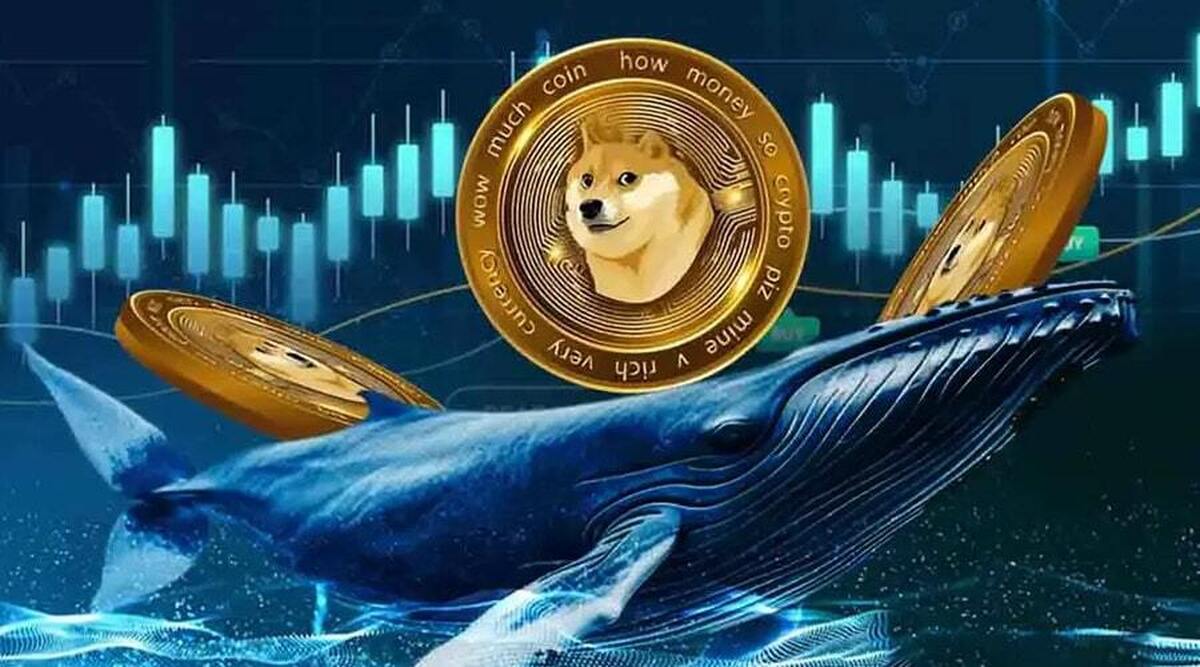 پیشبینی قیمت دوجکوین پس از صعود تاریخی پیشبینی قیمت دوجکوین پس از صعود تاریخی