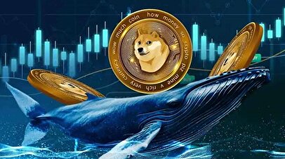 پیش‌بینی قیمت دوج‌کوین پس از صعود تاریخی
