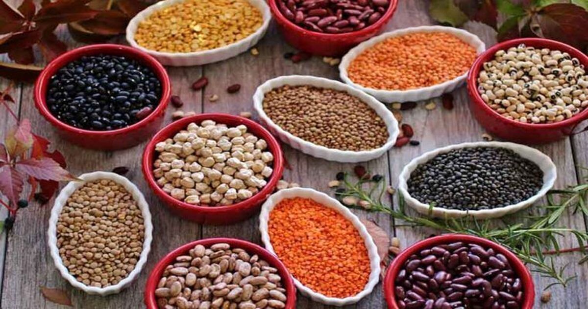 قیمت حبوبات امروز ۲۴ مرداد ۱۴۰۴ / لوبیا، نخود، لپه و عدس کیلویی چند؟ + جدول