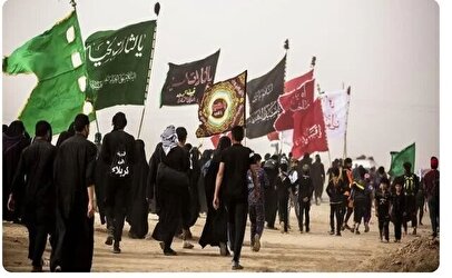 شناسایی ۱۲ نفر به اتهام فروش ارز و اسکناس تقلبی در اربعین