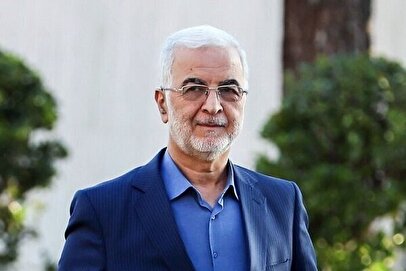 ۱.۲ میلیون نفر از اتباع به افغانستان بازگشتند