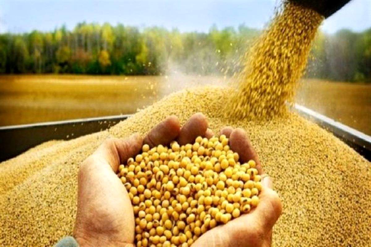 خبر خوش وزیر جهاد کشاورزی درباره ارز ترجیحی خبر خوش وزیر جهاد کشاورزی درباره ارز ترجیحی