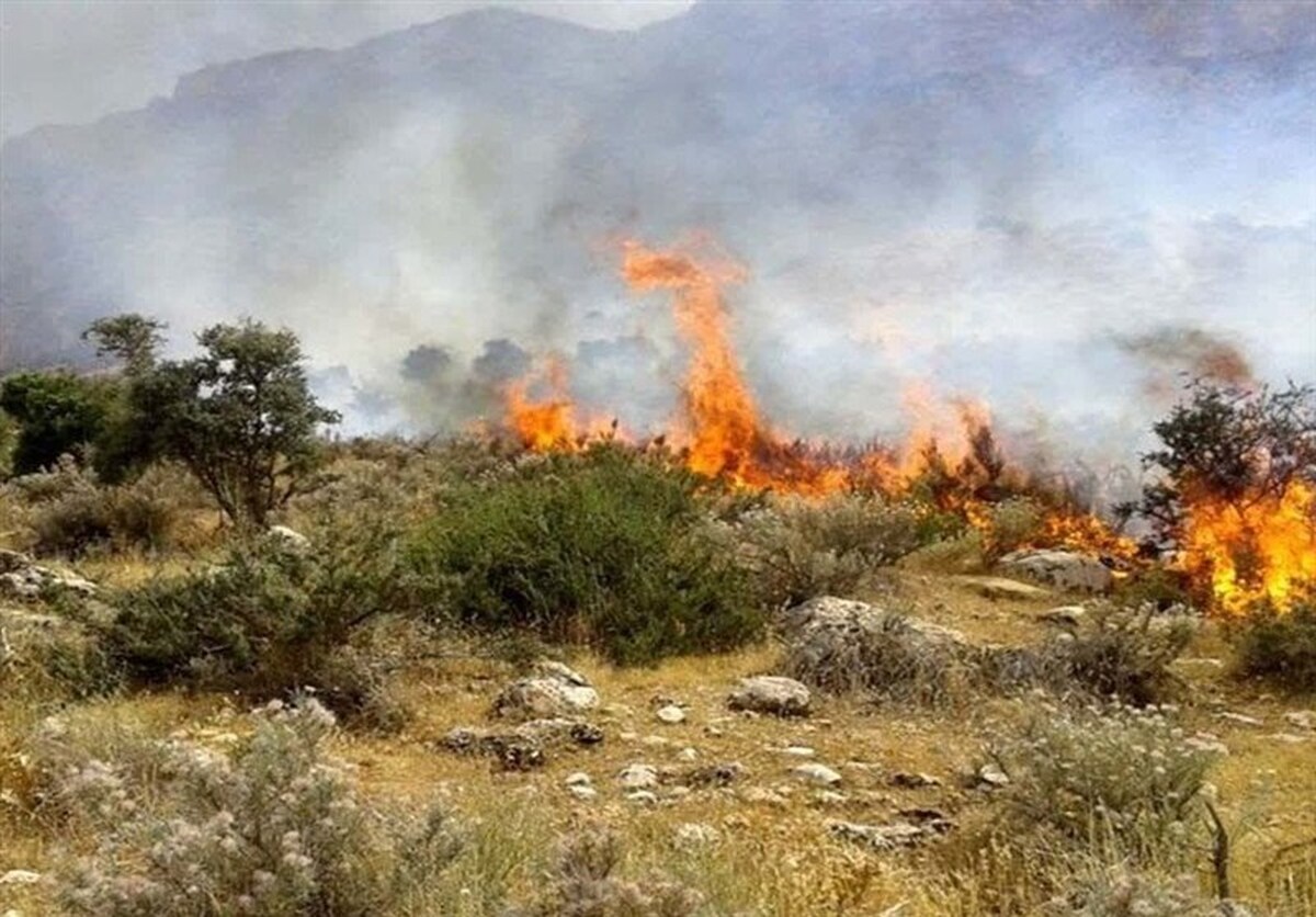 آتش ۱۰ هکتار از مراتع این منطقه را خاکستر کرد آتش ۱۰ هکتار از مراتع این منطقه را خاکستر کرد
