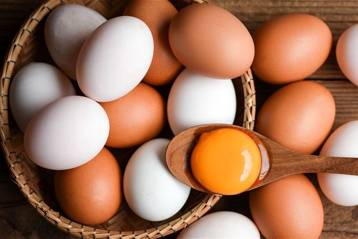قیمت تخم‌ مرغ امروز اول شهریور ۱۴۰۴ / قیمت شانه تخمه مرغ محلی چند؟ + جدول