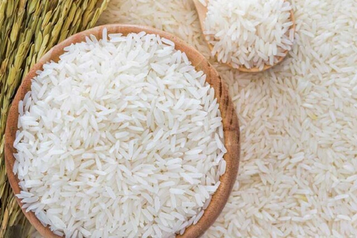 قیمت برنج ایرانی تا دو هفته آینده چقدر می‌شود؟