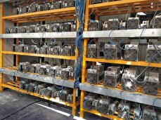 پاداش نقدی تا ۲۰۰ میلیون تومان برای گزارش‌دهندگان این تخلف