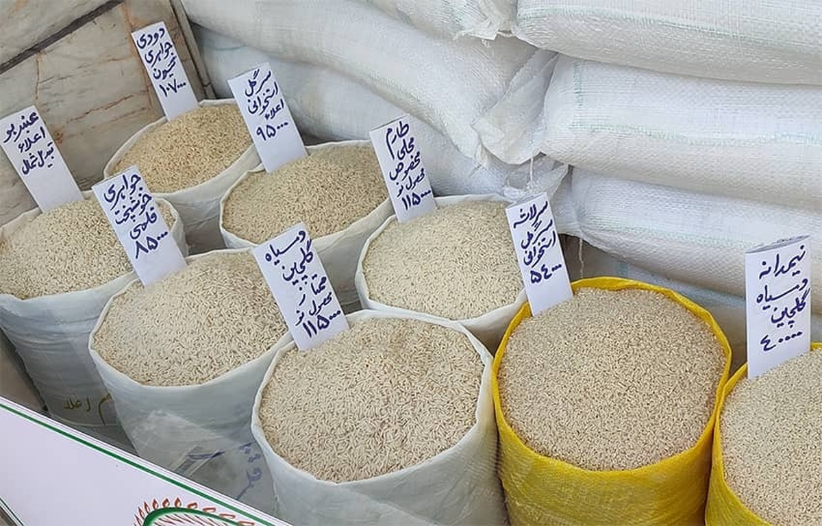 کاهش شدید قیمت برنج ایرانی در میادین