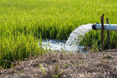 اصلاح قیمت آب شرط لازم است، نه کافی/ ریشه بحران در کشاورزی آبی و الگوی اشتباه کشت است