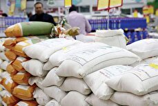 ماجرای گم‌شدن یک میلیون تن برنج؛ چه کسی دروغ می‌گوید؟