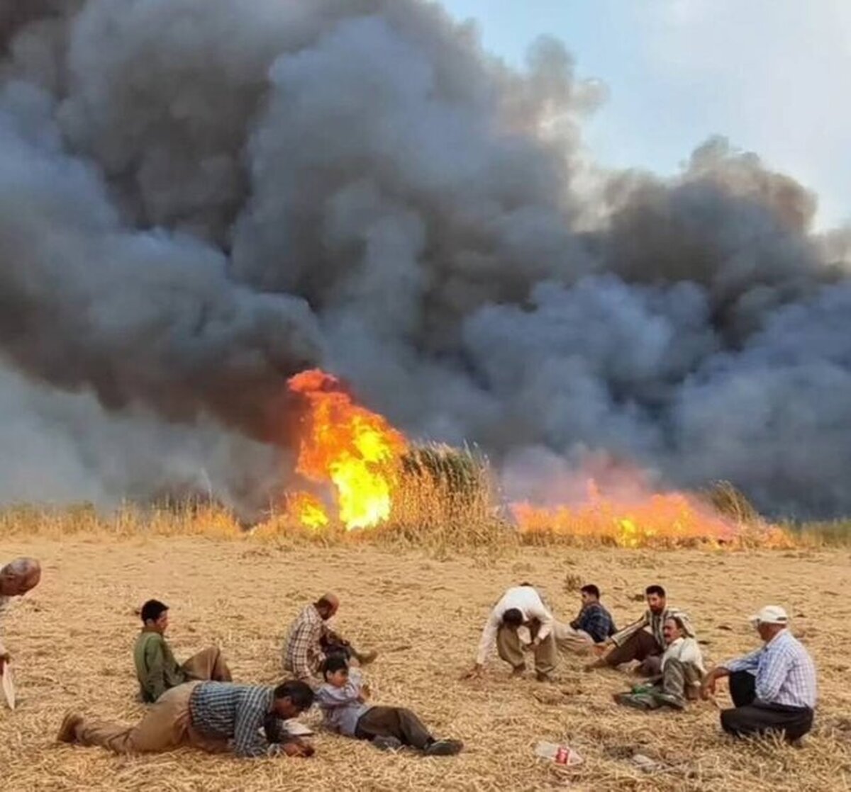 مهار آتشسوزی در تالاب گروس مهاباد مهار آتشسوزی در تالاب گروس مهاباد