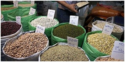 حبوبات ارزان شد/ کاهش ۳۳ درصدی قیمت لوبیا