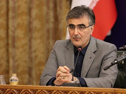 رییس بانک مرکزی: دلیلی برای گرانی کالاهای اساسی نیست + فیلم