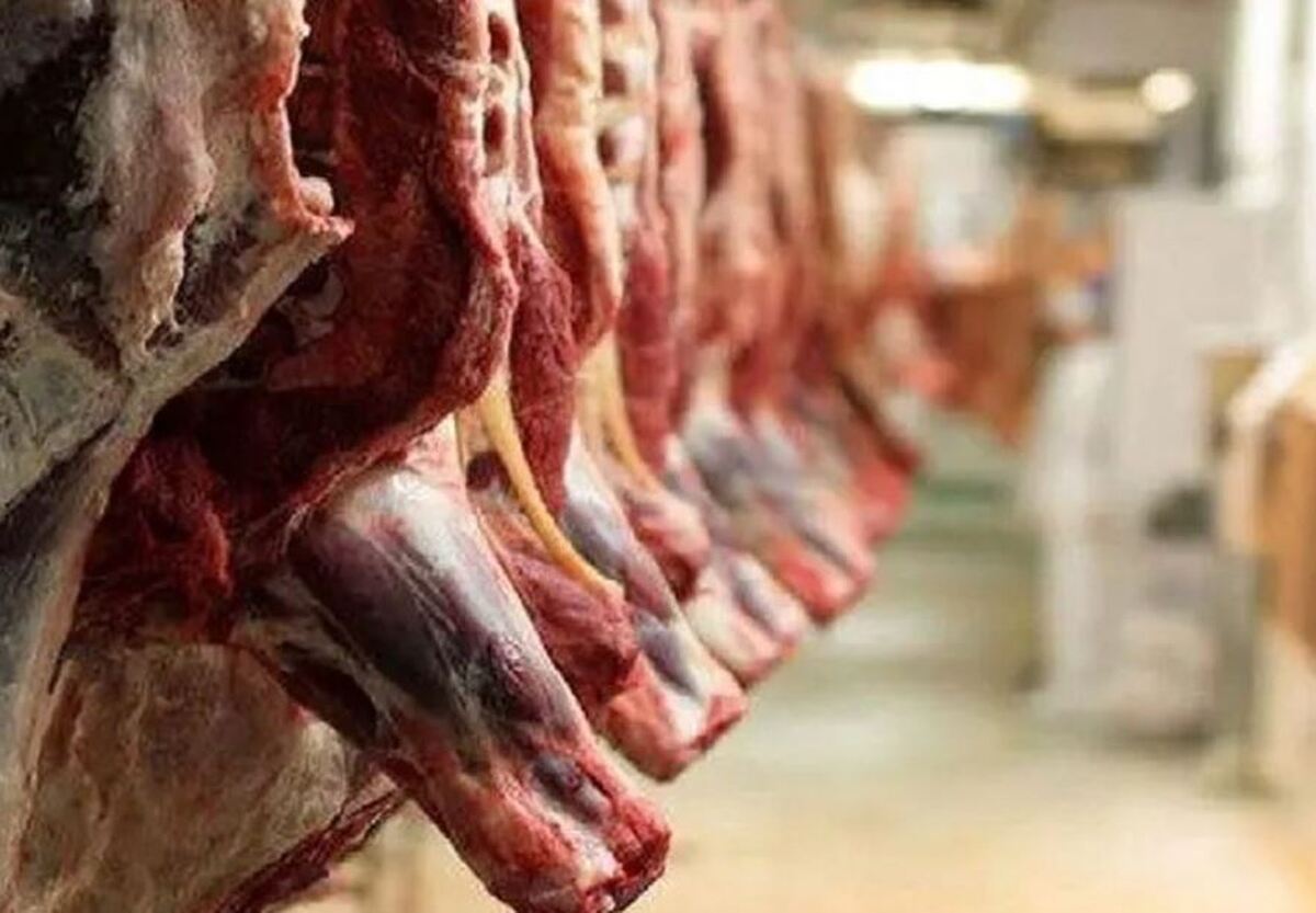 علت کم شدن واردات گوشت قرمز چیست؟ علت کم شدن واردات گوشت قرمز چیست؟