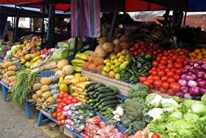 شوک قیمتی در سبزیجات؛ کاهو سالادی ۱۲۰ هزار تومان شد!