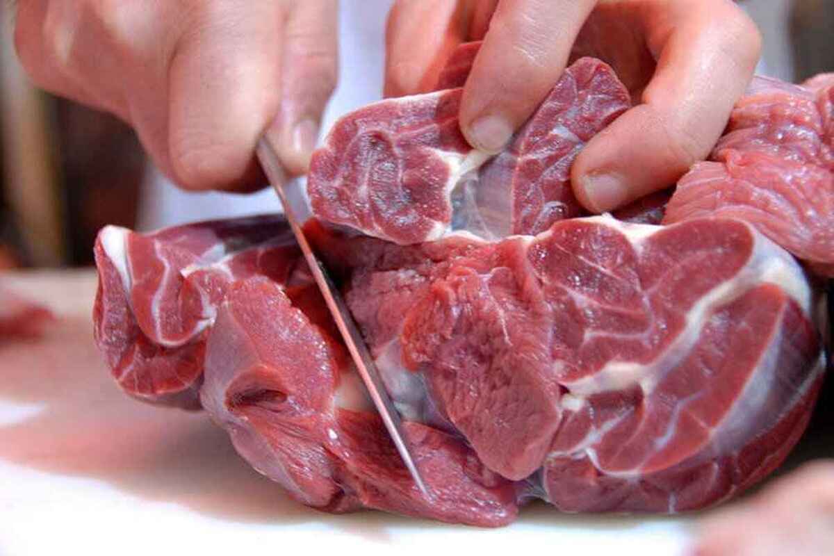 گوشت گرم وارداتی به زودی توزیع می شود گوشت گرم وارداتی به زودی توزیع می شود