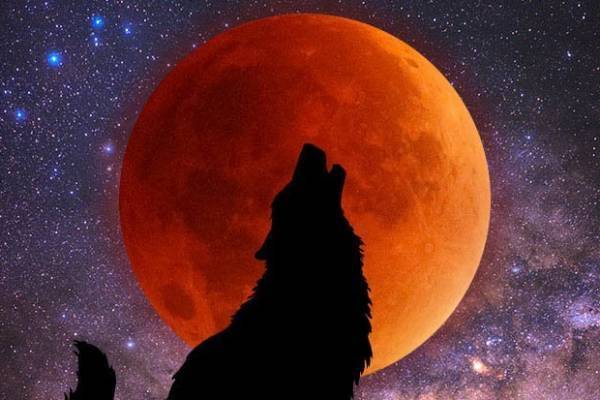 فال ماه خونین ۱۶ شهریور ۱۴۰۴ برای متولدین هرماه / ماه‌گرفتی ۱۴۰۴ چه تاثیری بر سرنوشتمان دارد؟