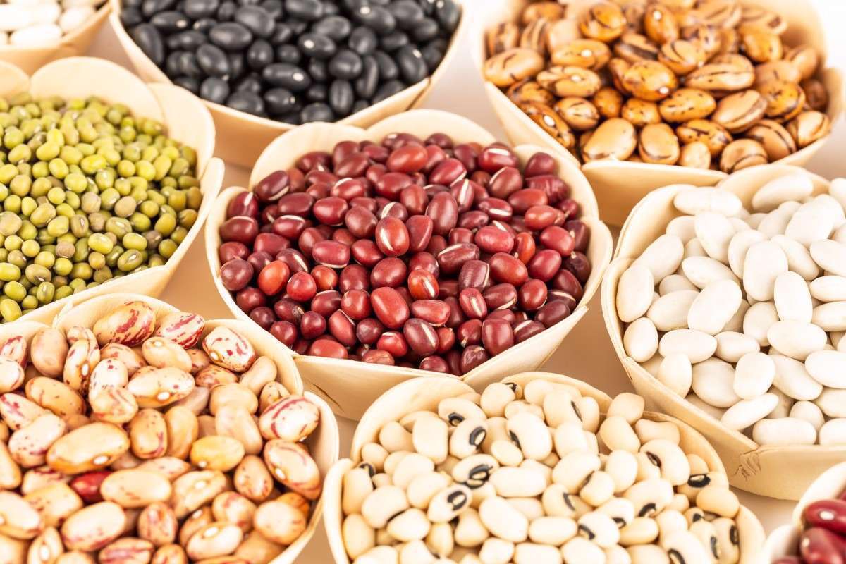 کمبود روغن ادامه دارد/ قیمت حبوبات کی کم میشود؟ کمبود روغن ادامه دارد/ قیمت حبوبات کی کم میشود؟
