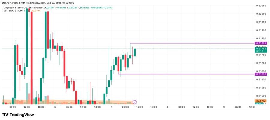 پیش‌بینی قیمت دوج‌کوین در هفته جاری/ چه سناریوهایی برای DOGE در پیش است؟
